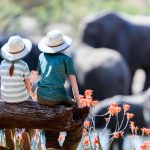 ספארי באפריקה עם ילדים – הרבה מעבר למפגש עם חיות