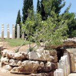 ביקור ביד ושם עם הילדים – כדי להעביר לדורות הבאים