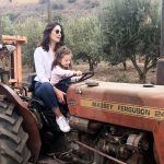 בית הבד של הגולן – מפעל אקולוגי לייצור שמן זית