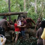 ספארי לילה בסינגפור  – אם אתם באזור…