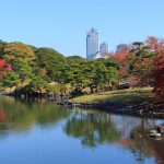 טוקיו – לא למבוגרים בלבד