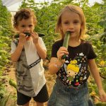 אי ירוק בעיר – סיור חקלאות וקטיף עצמי למשפחות