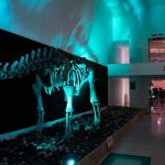 ‘פארק קרסו למדע’ בבאר שבע מציג פעילות מדעית מדליקה