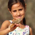 בעקבות הציפורים הנודדות באביב – חוויה לכל המשפחה