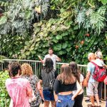 חוגגים ט”ו בשבט בגן הבוטני הקסום בירושלים