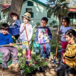 בט”ו בשבט ממשיכים להפריח את הנגב בצריף בן-גוריון