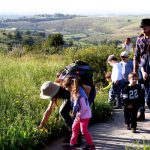 בפארק נאות קדומים מגלים את סודות הטבע