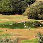 יום הולדת לדרווין במוזיאון הטבע ע”ש שטיינהרדט בת”א