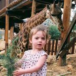 חוגגים בגן התנכ”י בירושלים את “טו בשבט הגיע חג לאריות”