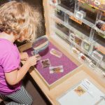 מוזיאון המדע ע”ש בלומפילד ירושלים מגיע אליכם למחשב