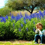 נמלטים מהקורונה אל יפי הטבע בגליל העליון