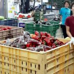 כבוד לחקלאי הערבה ולבני הנוער המתנדבים