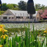 עולים לירושלים לביקור משפחתי בגן הבוטני