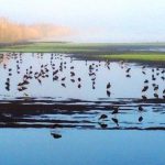 התגעגענו, בטח גם אתם: יוצאים מהקורונה לחיק הטבע