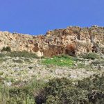 נברן קטן שינה את ההבנה על האבולוציה של האנושות