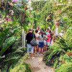 הגן הבוטני בירושלים: שבת משפחתית עם שפע פעילויות