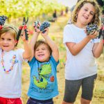 מתחברים לאדמה ותומכים בתיירות כחול לבן