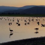 יוצאים מהבית, מתחברים אל הטבע