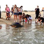 רגע מרגש: כפיר חוזר הביתה