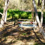 סיורי שישי קסומים ביחד עם קק”ל