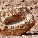 געגוע אל שמורת הטבע חי בר יטבתה