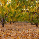 בתיירות הגולן מזמינים את המשפחות לטייל במסלולים היפים שבו