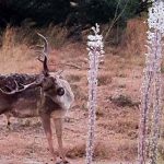 רוצים לצפות בנדידת הציפורים ובפריחות המרהיבות של הסתיו? צאו לטבע