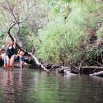 אחרי הגשם הראשון: טיולים משפחתיים במרחבי ישראל