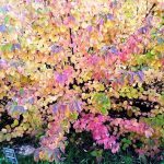 בחזרה אל הטבע בגן הבוטני האוניברסיטאי בירושלים