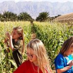 חממת חמשת החושים: בלב מטעי קיבוץ אליפז נפתחת עונת החורף