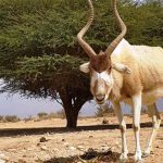 ממשיכים לטייל בחיק הטבע עם כל המשפחה