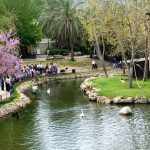 גם החיות מקיימות בחירות, עם 8 מפלגות מתחרות, סיסמאות והבטחות