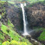 חוזרים לשגרה ומטיילים בטבע, מדרום ועד צפון הארץ