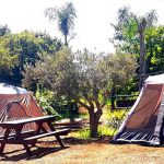 קמפינג משפחתי בלב בוסתן ‘בראשית’ בעין זיוון