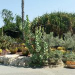 קייצי וקוצני: בילוי משפחתי בחולון עיר הצבר