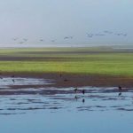 קרן קימת לישראל מתכבדת להודיע על פתיחתו של אגמון החולה