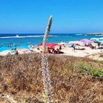 בחגי תשרי המשפחות מטיילות נכון וחוזרות בבטחה ובשלום