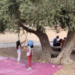 מסיק זיתים משפחתי בגן לאומי ציפורי