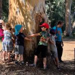 הכירו את גן לאומי ירקון: הריאה הירוקה של גוש דן