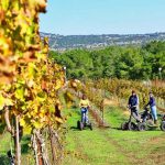 סיורי שטח למשפחות על ריידרים, בקיבוץ אורטל שברמת הגולן