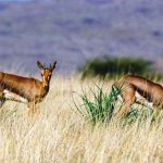 מזג האוויר הנאה הוציא את המטיילים מהשמיכות לטבע