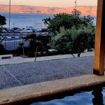 “לגלות אוצר בסיור קצר”: חגיגה של חורף בגן לאומי חמת טבריה