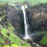 פותחים את 2022 בטבע הישראלי: טיולי חורף חווייתיים לכל המשפחה