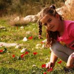 אתגר ניווט לכל המשפחה בעקבות מוקדי פריחה מרהיבים