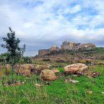 חורף בטבע הישראלי: טיולי פריחות וזרימות נחלים למשפחות