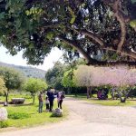 מאות אלפי משפחות טיילו ברחבי הארץ