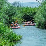 כל המשפחה זורמת: באתר אבוקיאק בפארק הירדן