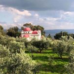 מכפר נחום לטבחה: פריחות אביביות, מפל נסתר ותצפית על הכינרת