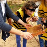 מועצת הדבש מזמינה לחגוג עם הדבוראים לציון ‘יום הדבורה הבינלאומי’