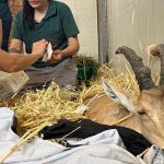 יעל קל רגליים: בדרך למצפה רמון עוצרים בפארק אריאל שרון